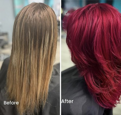 Color Vibes! - This guest wishes to introduce a considerable amount of brightness to mark the change in season. Color Vibes! - This guest wishes to introduce a considerable amount of brightness to mark the change in season.