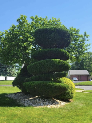 Garden Design - If you are looking to upkeep your land or design it to look the best it can Lexington Landscaping is here to attend to all your landscaping needs. Garden Design - If you are looking to upkeep your land or design it to look the best it can Lexington Landscaping is here to attend to all your landscaping needs.