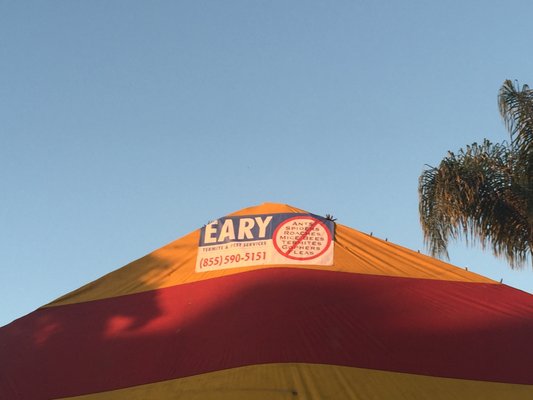 Fumigation - Fumigation for drywood termites. Fumigation - Fumigation for drywood termites.