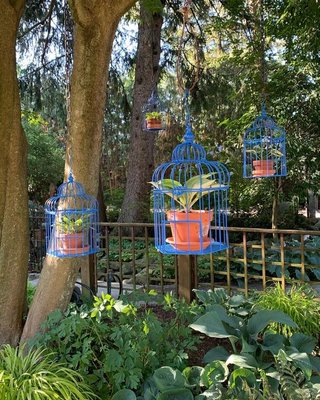 Start Your Garden Today - We are a unique nursery offering quality plants to gardeners