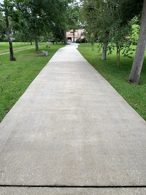 Pressure Wash Driveway - "Here’s a driveway we meticulously pressure washed, removing built-up dirt, grime, and stubborn stains to restore its original clean and fresh appearance. Pressure Wash Driveway - "Here’s a driveway we meticulously pressure washed, removing built-up dirt, grime, and stubborn stains to restore its original clean and fresh appearance.