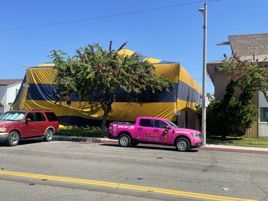 Multi family unit fume - This is a multi family dwelling fumigation. 

We specialize in working closely with property managers and their tenants to ensure a smooth process and guarantee results.