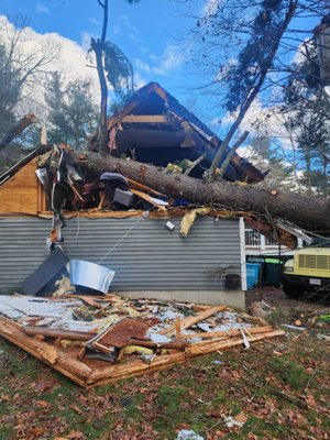 Emergency Services - Tree removal is needed for multiple different reasons. Maybe your trees are carrying disease, pests, or have very unstable root structures causing them to threaten your house or property. Choosing to delay assessing your trees health can ultimately lead to serious problems and put your safety at risk. We offer free estimates to all to ensure your property stays safe! Emergency Services - Tree removal is needed for multiple different reasons. Maybe your trees are carrying disease, pests, or have very unstable root structures causing them to threaten your house or property. Choosing to delay assessing your trees health can ultimately lead to serious problems and put your safety at risk. We offer free estimates to all to ensure your property stays safe!
