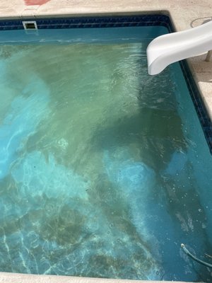 Green to clean - This customer wanted green to clean treatment.
They shocked the pool, waited 24 hours and took a visit to backwash all the dead algae! Green to clean - This customer wanted green to clean treatment.
They shocked the pool, waited 24 hours and took a visit to backwash all the dead algae!