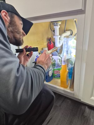 Cockroach Services - Inspection and treatments for Cockroach infestations for residential and commercial properties
