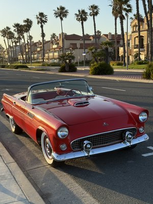 1955 Ford Thunderbird - Holley EFI Installation: Installed a complete Holley EFI system, including the ECU, wiring harness, sensors, and high-pressure fuel system. Configured the system, performed initial startup, and completed calibration for improved reliability, drivability, cold starts, and overall engine performance.