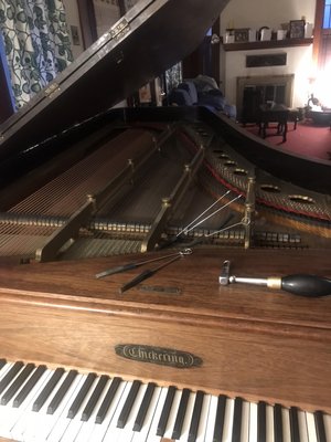 AAA Piano Service ! Stay Tuned! - AAA Piano Service is fully licensed and Insured. Please call Scott for all your piano needs! 32 years experience! - Scott Townley , owner / tech AAA Piano Service ! Stay Tuned! - AAA Piano Service is fully licensed and Insured. Please call Scott for all your piano needs! 32 years experience! - Scott Townley , owner / tech