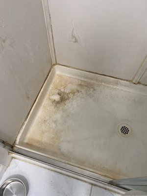 Bathroom clean - This clean was done in a small bathroom. Shower needed a deep clean with a bleach spray. Bathroom clean - This clean was done in a small bathroom. Shower needed a deep clean with a bleach spray.