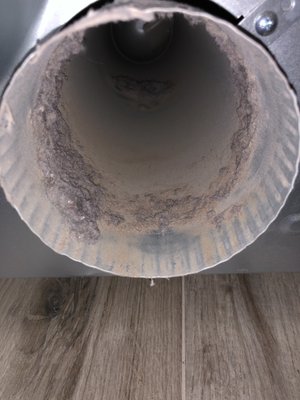 Dryer Vent Cleaning and Sanitizing - Keeping dryer vents clean and clear is an often overlooked and forgotten task. Not only does it affect the efficiency of your dryer, it also puts you and your family at serious risk for a house fire. Dryer Vent Cleaning and Sanitizing - Keeping dryer vents clean and clear is an often overlooked and forgotten task. Not only does it affect the efficiency of your dryer, it also puts you and your family at serious risk for a house fire.
