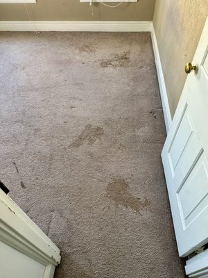 Carpet cleaning - This is a collection in the carpet cleaning we have done recently in 2023. Carpet cleaning - This is a collection in the carpet cleaning we have done recently in 2023.