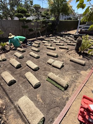 Sod Jobs - Collab on a few new Landscape Installations