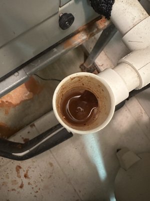 Drain Line Cleaning - Service call for a system not functioning. Our highly skilled tech arrived and identified the issue to be drain related. What he found in the drain may surprise many, but to us this is a normal everyday. This is what causes your system to suddenly just STOP. Regular HVAC maintenance would help keep this from happening to you. Drain Line Cleaning - Service call for a system not functioning. Our highly skilled tech arrived and identified the issue to be drain related. What he found in the drain may surprise many, but to us this is a normal everyday. This is what causes your system to suddenly just STOP. Regular HVAC maintenance would help keep this from happening to you.
