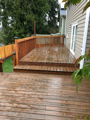 Typical Stain Jobs - We only do Decks, so we know how to restore and stain for a longer lasting job! Typical Stain Jobs - We only do Decks, so we know how to restore and stain for a longer lasting job!