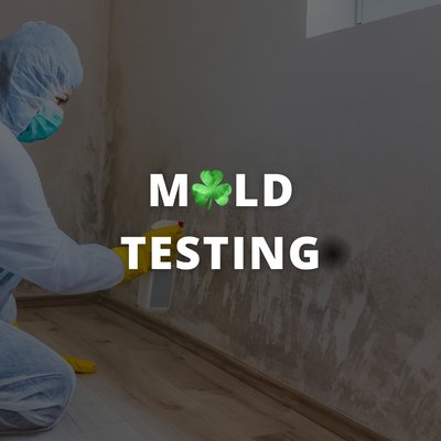 Mold Testing - Do you think you have mold. Reach out to us for a free consultation. We can test it and find the best way to remove and prevent mold.