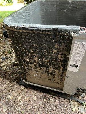 Evaporator and condenser coil cleaning - Evaporator and condenser coil cleaning Evaporator and condenser coil cleaning - Evaporator and condenser coil cleaning