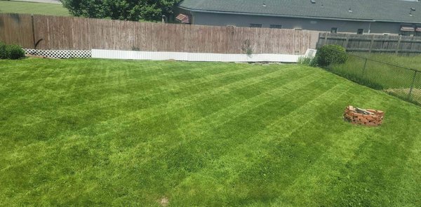 Creative seasonal lawns 2022 - Seasonal lawn maintenance