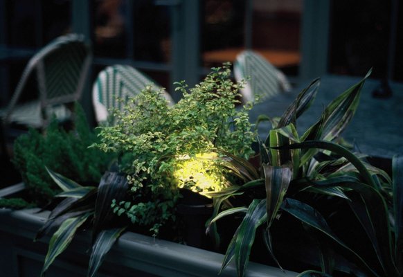LED & Landscape Lighting - From recessed can lights and under-cabinet LEDs to outdoor landscape lighting, we design and install lighting that transforms a home inside and out. LED & Landscape Lighting - From recessed can lights and under-cabinet LEDs to outdoor landscape lighting, we design and install lighting that transforms a home inside and out.