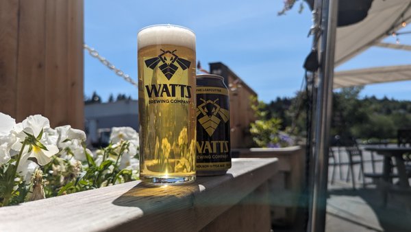 The Leafcutter - Our flagship beer is a bright, crisp take on the ales of Köln, Germany. We took the precision of this classic German style and adapted it to the American palate with PNW-grown hops, producing a beer of surprising depth and nuance for such a refreshing style. The Leafcutter - Our flagship beer is a bright, crisp take on the ales of Köln, Germany. We took the precision of this classic German style and adapted it to the American palate with PNW-grown hops, producing a beer of surprising depth and nuance for such a refreshing style.