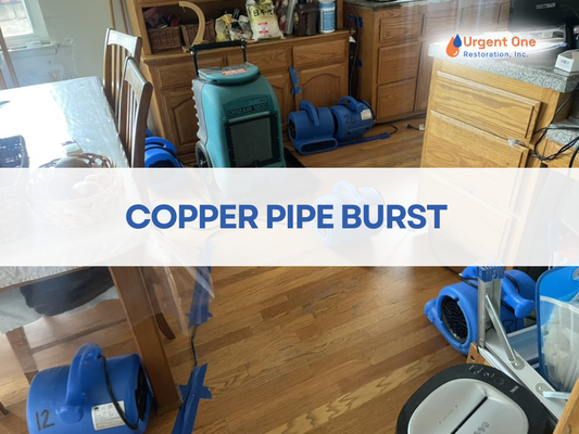 copper pipe burst - Copper water line burst underneath the house in the crawl space. copper pipe burst - Copper water line burst underneath the house in the crawl space.