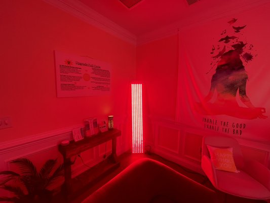 Red Light panel - Red light therapy will speed the body’s natural healing time. It will boost serotonin in the brain , collagen support and increase immunity and circulation. Red Light panel - Red light therapy will speed the body’s natural healing time. It will boost serotonin in the brain , collagen support and increase immunity and circulation.