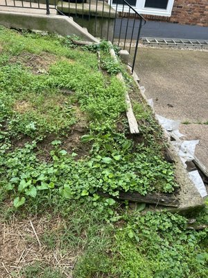 Retaining wall - This is a retaining wall I’ve done with tree planted in the middle! Retaining wall - This is a retaining wall I’ve done with tree planted in the middle!