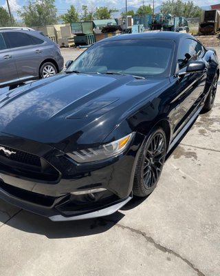 Exterior: Mustang - We took care of this Mustang and made sure to go panel by panel to eliminate water spots drying too fast in the sun. Exterior: Mustang - We took care of this Mustang and made sure to go panel by panel to eliminate water spots drying too fast in the sun.