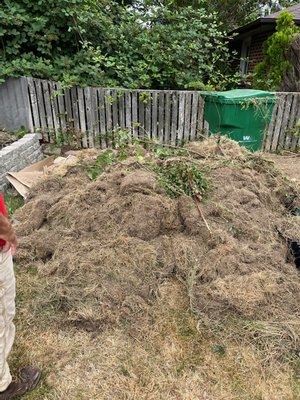 Sod removal - Sod removal Sod removal - Sod removal