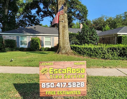 Hurricane Season Services - Count on our rapid response and EMERGENCY tree services to address any post-hurricane tree-related issues, ensuring the safety and beauty of your property are restored promptly and efficiently.