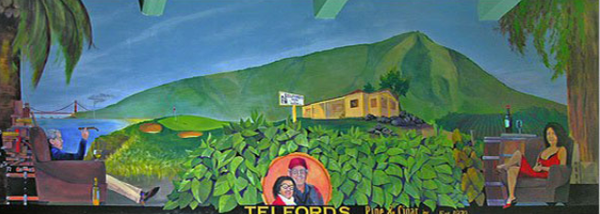 Join the Member's Lounge! - Telford’s Pipe & Cigar has one of the most comfortable and accessible member’s smoking lounge in the country, perhaps the world. Overstuffed chairs, wide screen High Def television, complimentary freshly brewed coffee, backgammon, and a wide range of conversation is what you will find in the Member’s Lounge. For details of how to become a member of Telford’s Member’s Lounge visit the Cabinet Membership page. Join the Member's Lounge! - Telford’s Pipe & Cigar has one of the most comfortable and accessible member’s smoking lounge in the country, perhaps the world. Overstuffed chairs, wide screen High Def television, complimentary freshly brewed coffee, backgammon, and a wide range of conversation is what you will find in the Member’s Lounge. For details of how to become a member of Telford’s Member’s Lounge visit the Cabinet Membership page.
