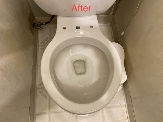 Bathroom - This floor was caked with dust, dog hair, and dirt. My crew made it shine!