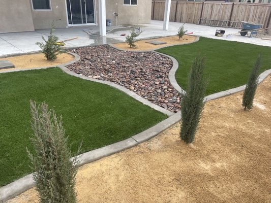backyard turf - turf with some square curbing