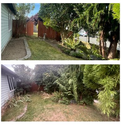 Clean-up - client found me working at his neighbor's house, so he asked me for an estimate for a general clean-up. He approved my price and we proceeded, delivering very satisfactory resulte .