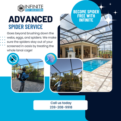 Advanced Spider Service - Enjoy your screened in oasis spider free! Advanced Spider Service - Enjoy your screened in oasis spider free!