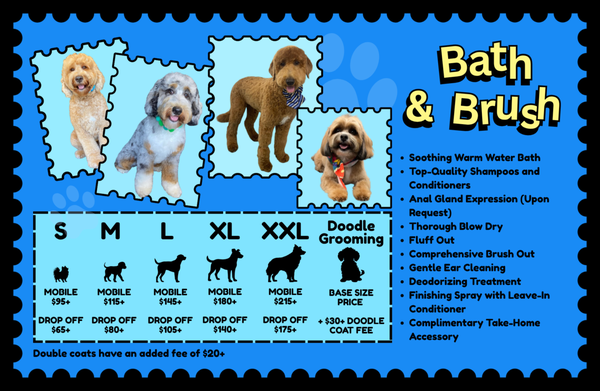 Bath & Brush - A full-service refresh for every size pup — warm water bath, blow dry, brush-out, ear cleaning & deodorizing treatment. Mobile or drop-off, S–XXL, with a free take-home accessory included. Bath & Brush - A full-service refresh for every size pup — warm water bath, blow dry, brush-out, ear cleaning & deodorizing treatment. Mobile or drop-off, S–XXL, with a free take-home accessory included.