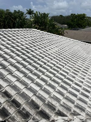 Pressure-Washing Before & After! - Before and After Photos of Multiple Pressure-Washing Projects! Pressure-Washing Before & After! - Before and After Photos of Multiple Pressure-Washing Projects!