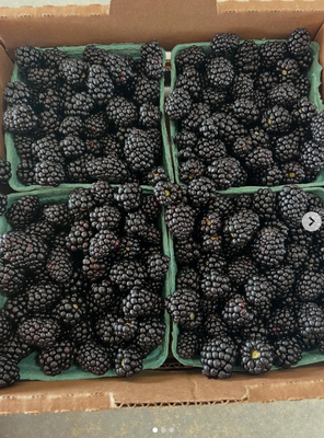 We have blackberries and premade bouquets!! - We have blackberries and premade bouquets!! We have blackberries and premade bouquets!! - We have blackberries and premade bouquets!!