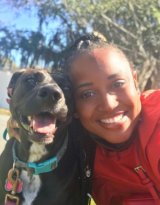 Meet Our Furry Clients! - Meet Our Furry Friends!