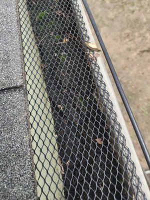 gutter cleaning - homeowners were unable to keep gutters clean. They gave us a call, and we were able to get all their gutter issues resolved gutter cleaning - homeowners were unable to keep gutters clean. They gave us a call, and we were able to get all their gutter issues resolved