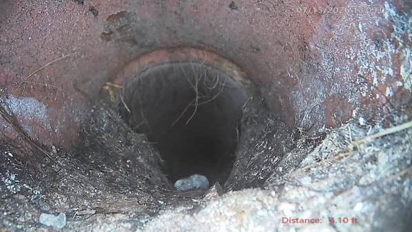 Sewer Line Inspections - Knowing the condition of your sewer line can provide piece of mind or help determine an ongoing issue. A video and report is included with each inspection. Don't wait for an issue to arise to have a sewer line inspection. Call now for more information. Sewer Line Inspections - Knowing the condition of your sewer line can provide piece of mind or help determine an ongoing issue. A video and report is included with each inspection. Don't wait for an issue to arise to have a sewer line inspection. Call now for more information.