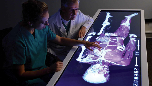 Innovation & Technology - From cadaver labs to virtual reality, students have access to some of the finest learning technologies at the Orange County campus. From this, students will graduate with exceptional hands-on experience, technical savvy, and creative problem-solving skills. Innovation & Technology - From cadaver labs to virtual reality, students have access to some of the finest learning technologies at the Orange County campus. From this, students will graduate with exceptional hands-on experience, technical savvy, and creative problem-solving skills.