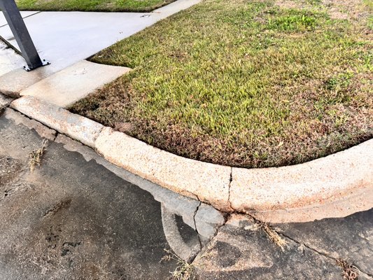 Business curb and house - Customer said she wanted her curb and bottom of house done! Business curb and house - Customer said she wanted her curb and bottom of house done!