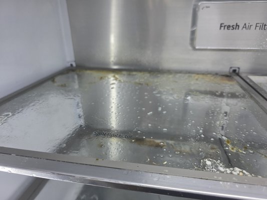 Refrigerator Clean - Leave the daunting task of cleaning out your refrigerator to the professionals! We got you covered! Refrigerator Clean - Leave the daunting task of cleaning out your refrigerator to the professionals! We got you covered!