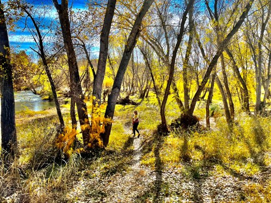 River Walk for the Canines!!! - Let Brookdale know if your pup would enjoy a river walk during their stay :). River Walk for the Canines!!! - Let Brookdale know if your pup would enjoy a river walk during their stay :).