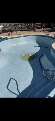 Pool Maintenance Programs - pool maintenance Henderson, pool service Las Vegas, pool chemical balancing, water testing, pool upkeep.
Our routine maintenance packages include regular cleaning, water testing, chemical balancing, and equipment checks. Designed for busy homeowners, these services keep pools in perfect condition throughout the year. Pool Maintenance Programs - pool maintenance Henderson, pool service Las Vegas, pool chemical balancing, water testing, pool upkeep.
Our routine maintenance packages include regular cleaning, water testing, chemical balancing, and equipment checks. Designed for busy homeowners, these services keep pools in perfect condition throughout the year.