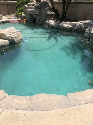 New pol maintenance before and after we took over this project - This client called us and asked us to help with their pool as you can see their are happy
