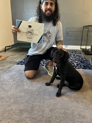 Cooper 1 Week Board and Train - Cooper was here for a 1 Week Board and Train learning Basic Obedience, Crate Training and Leash Walking! Cooper 1 Week Board and Train - Cooper was here for a 1 Week Board and Train learning Basic Obedience, Crate Training and Leash Walking!