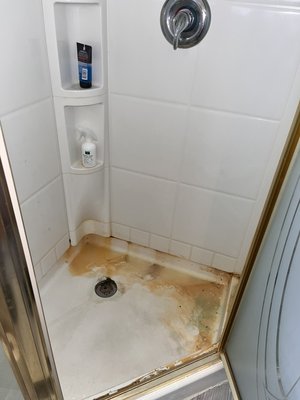 Bathroom shower deep clean - Master bathroom Shower hard soap scum removal Bathroom shower deep clean - Master bathroom Shower hard soap scum removal