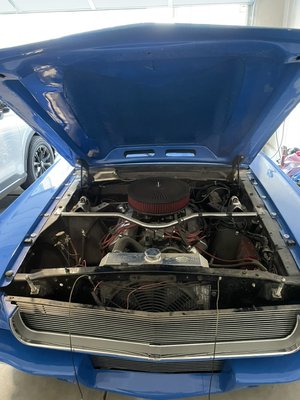Mustang Engine Bay Detail - Before and after detail for a Mustang Mustang Engine Bay Detail - Before and after detail for a Mustang