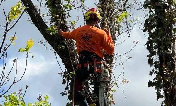 Emergency Services - Call for a Free Estimate