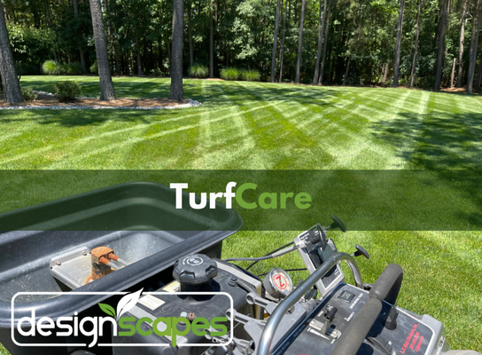 TurfCare - designscapes – Professional TurfCare, Weed Control & Plant Healthcare

Proudly serving Milton • Rehoboth Beach • Dewey Beach • Lewes • Bethany Beach • Fenwick Island • Ocean View • Frankford, Delaware

At designscapes, our TurfCare Division is built on 15+ years of local experience, small-town service, and a commitment to keeping the Delaware beaches green, healthy, and beautiful. We provide premium lawn care programs, advanced weed control solutions, and full plant healthcare treatments for properties of every size — from coastal homes and rental properties to commercial buildings, parking areas, utility facilities, and solar fields.

We proudly serve the unique turf and soil conditions of Milton, Rehoboth, Lewes, Dewey Beach, Bethany Beach, Fenwick Island, Ocean View, and Frankford, where salty air, sandy soils, and coastal winds require a company that genuinely understands the environment. Our licensed TurfCare experts create customized treatment plans that deliver results you can see — thicker grass, cleaner landscapes, healthier shrubs, and weed-free beds all season long.

🌱 Complete TurfCare Programs (Residential & Commercial)

Our step-by-step TurfCare programs are designed specifically for Sussex County lawns. From pre-emergent protection in the spring to fall feeding and winter soil conditioning, every application is done with premium products and expert timing.

We target and treat all major lawn weeds, including:
• Crabgrass, goosegrass & annual grassy weeds
• Nutsedge & kyllinga
• Clover, creeping charlie & wild violet
• Dandelion, chickweed, henbit & winter weeds
• Broadleaf weeds of all types
• Hard-to-control sedges and invasive grasses

Whether you want a golf-course look, a lush home lawn, or dependable commercial maintenance, our TurfCare solutions are built to outperform the standard “one-size-fits-all” approach.

🌿 Tree & Shrub Plant Healthcare Programs

Landscape plants are investments — and coastal conditions can be harsh. Our Plant Healthcare division protects your trees and shrubs with science-based treatments that strengthen roots, boost growth, and prevent long-term damage.

Our PHC services include:
• Deep-root fertilization for trees & ornamentals
• Systemic insect and disease treatments
• Horticultural oil applications (spring & fall)
• Fungus, scale, bagworm & mite control
• Evergreen and shrub feeding
• Soil health improvement & monitoring

From hollies and laurels to crepe myrtles and hydrangeas, we diagnose issues early and treat them with precision, keeping your landscape looking vibrant.

🌾 Bed Maintenance & Weed Control Services

Messy beds can ruin curb appeal fast, especially in high-visibility areas and coastal commercial sites. We keep everything clean, polished, and weed-free.

Services include:
• Mulch bed weed treatments
• Stone/rock bed vegetation control
• Curb line & sidewalk crack suppression
• Driveway & parking lot vegetation control
• Commercial bed maintenance programs
• Substation weed control (safe, compliant & reliable)
• Solar field vegetation suppression & service-road clearing
• Utility corridor & transformer-area vegetation control
• HOA & rental property weed management

We offer bi-weekly, monthly, seasonal, and on-demand service plans to fit any property.

🔎 Why the Delaware Beaches Trust designscapes

• Locally owned, family-operated, rooted in service and grown on trust
• 15+ years of TurfCare and landscape expertise
• Licensed, insured, and trained applicators
• We understand beach-town soil, weather & weed pressure
• Premium products, precision timing, consistent results
• Clear communication, dependable scheduling & honest service
• One company for turfcare, weed control, irrigation, mowing & full landscape management

Our mission is simple: deliver healthier lawns, stronger plants, cleaner properties, and the most reliable service at the Delaware beaches.

🌎 Areas We Serve

Milton • Lewes • Rehoboth Beach • Dewey Beach • Bethany Beach • Fenwick Island • Ocean View • Frankford • Millsboro • Harbeson • Dagsboro • Selbyville • Lincoln • Georgetown • Bridgeville

If you’re looking for a trustworthy, results-driven TurfCare partner who shows up, communicates clearly, and treats your property like their own, designscapes is here to help. From lawn treatments and weed control to plant healthcare and commercial bed maintenance, we’re proud to serve the Delaware beaches with unmatched quality and care.